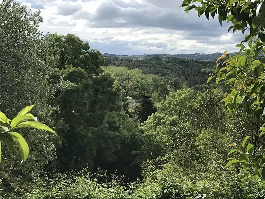 Immagine 3 di Villa in vendita  a Crespina Lorenzana