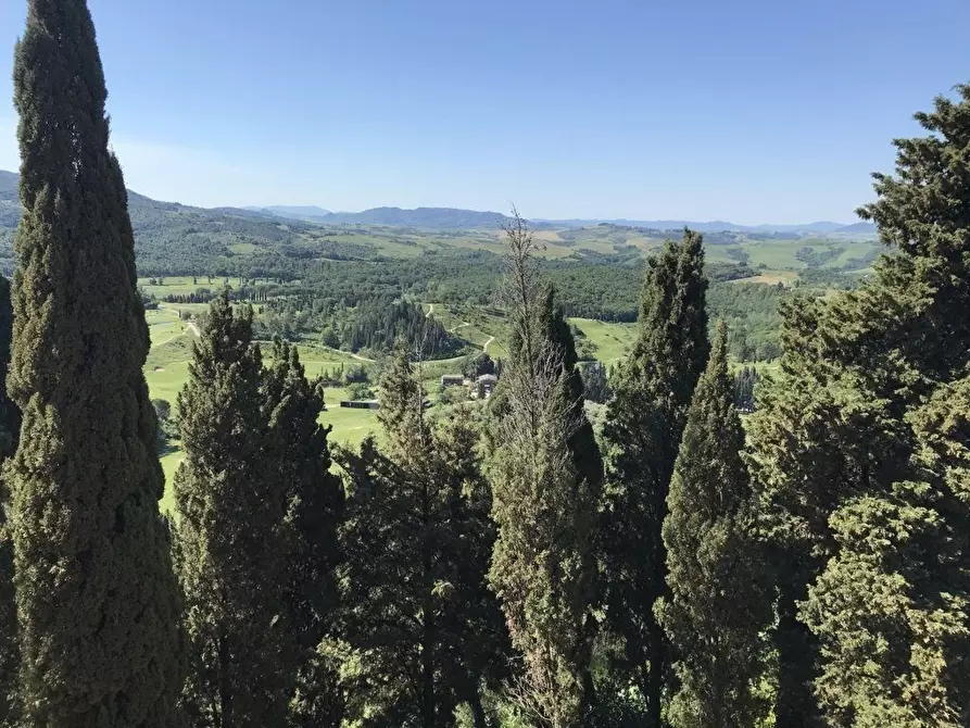 Immagine 15 di Appartamento in vendita  a Montaione