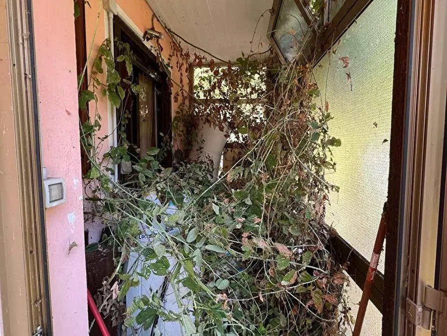 Immagine 13 di Appartamento in vendita  a Villar Dora