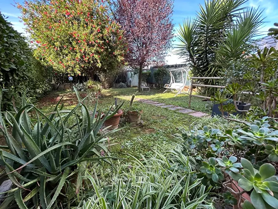 Immagine 4 di Terratetto in vendita  a Vinci