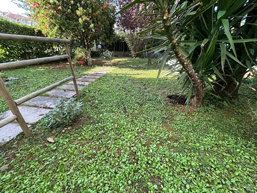 Immagine 1 di Terratetto in vendita  a Vinci