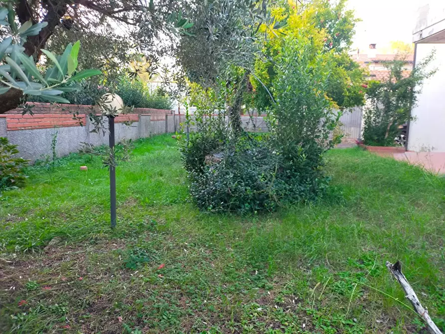 Immagine 6 di Casa indipendente in vendita  a San Giuliano Terme
