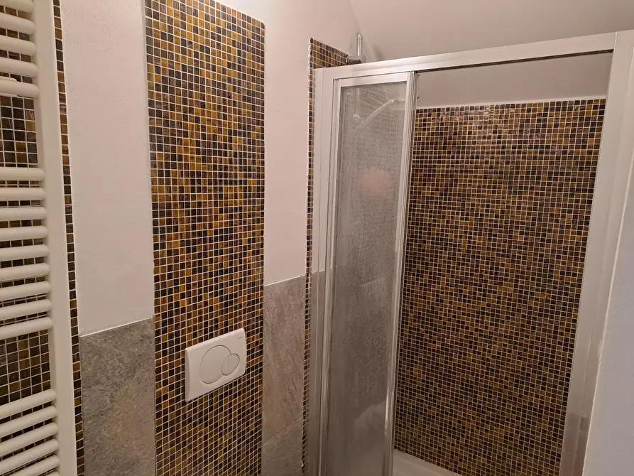 Immagine 9 di Appartamento in vendita  a Pisa