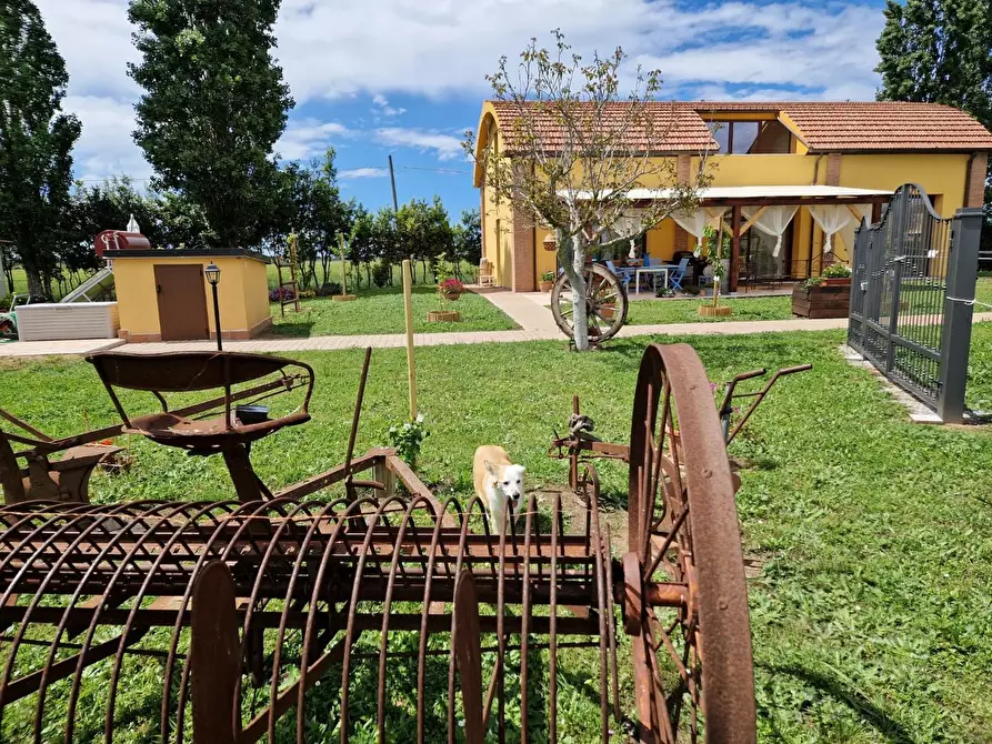 Immagine 6 di Casa semindipendente in vendita  a Campiglia Marittima