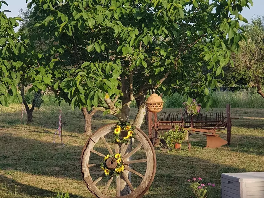 Immagine 18 di Casa semindipendente in vendita  a Campiglia Marittima