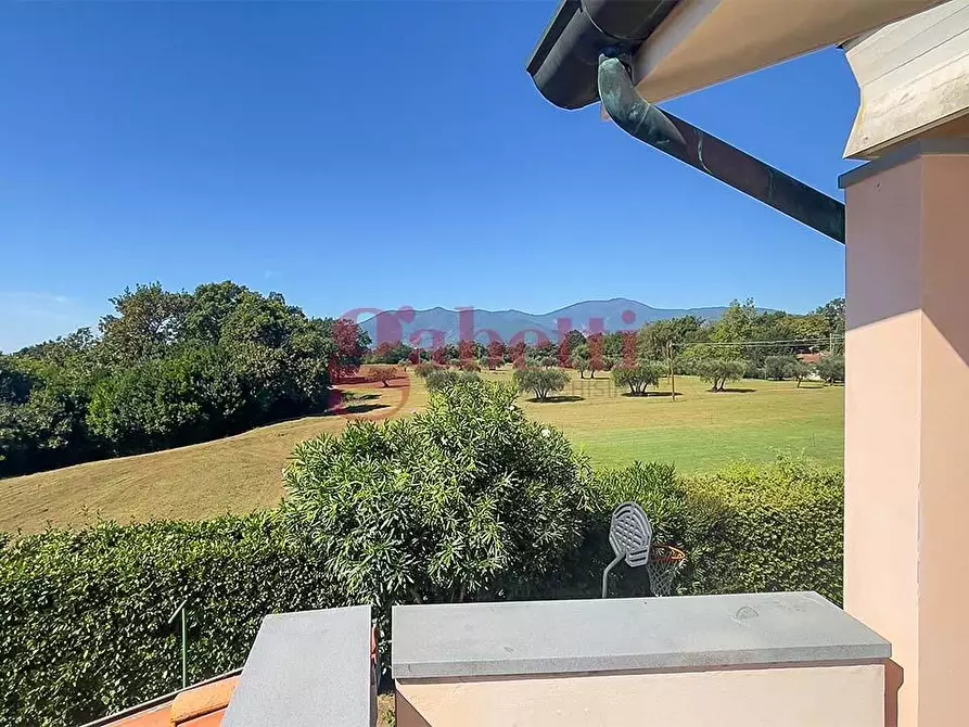 Immagine 21 di Casa bifamiliare in vendita  a Bientina