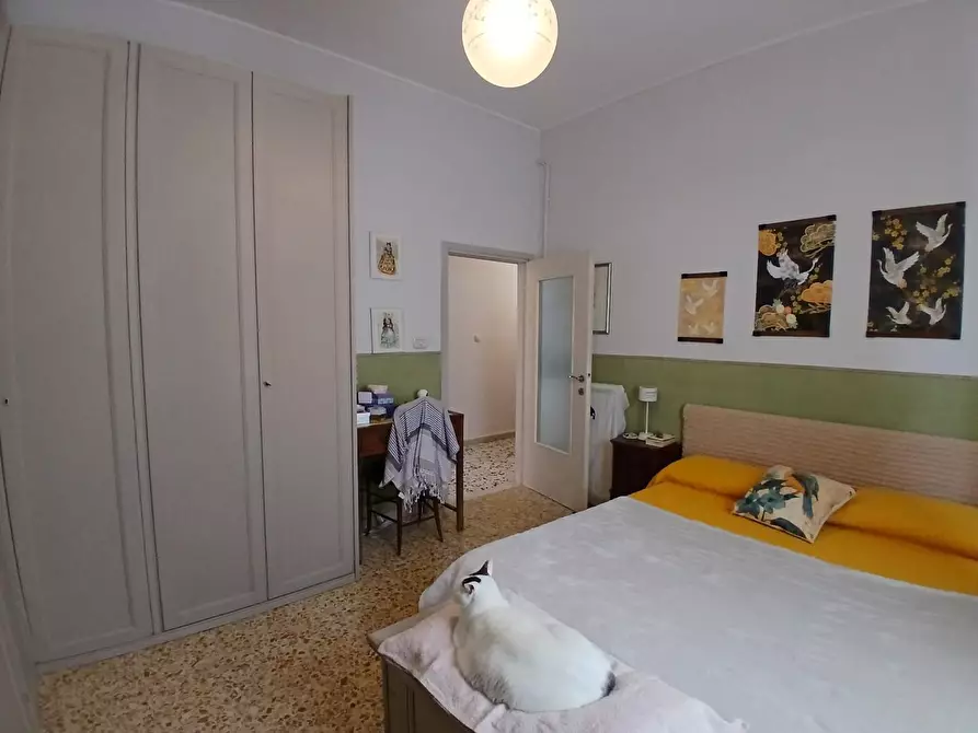 Immagine 22 di Appartamento in vendita  a Livorno