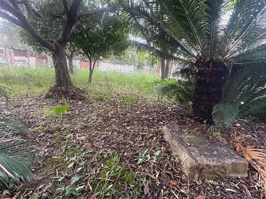 Immagine 4 di Casa indipendente in vendita  a Carrara