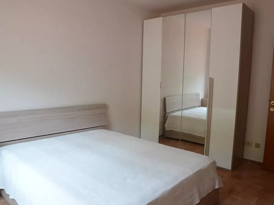 Immagine 4 di Appartamento in vendita  a Monticiano