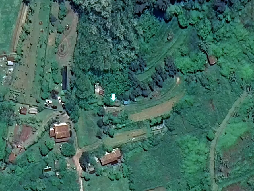 Immagine 1 di Negozio in vendita  a Camaiore