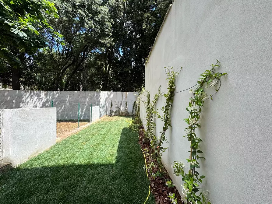 Immagine 13 di Appartamento in vendita  a Empoli