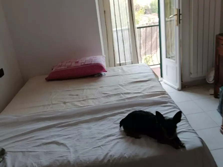 Immagine 11 di Appartamento in affitto  a Carrara