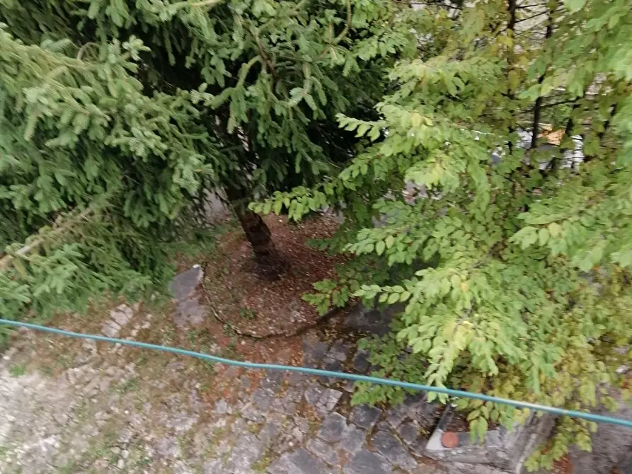 Immagine 8 di Appartamento in affitto  a Carrara