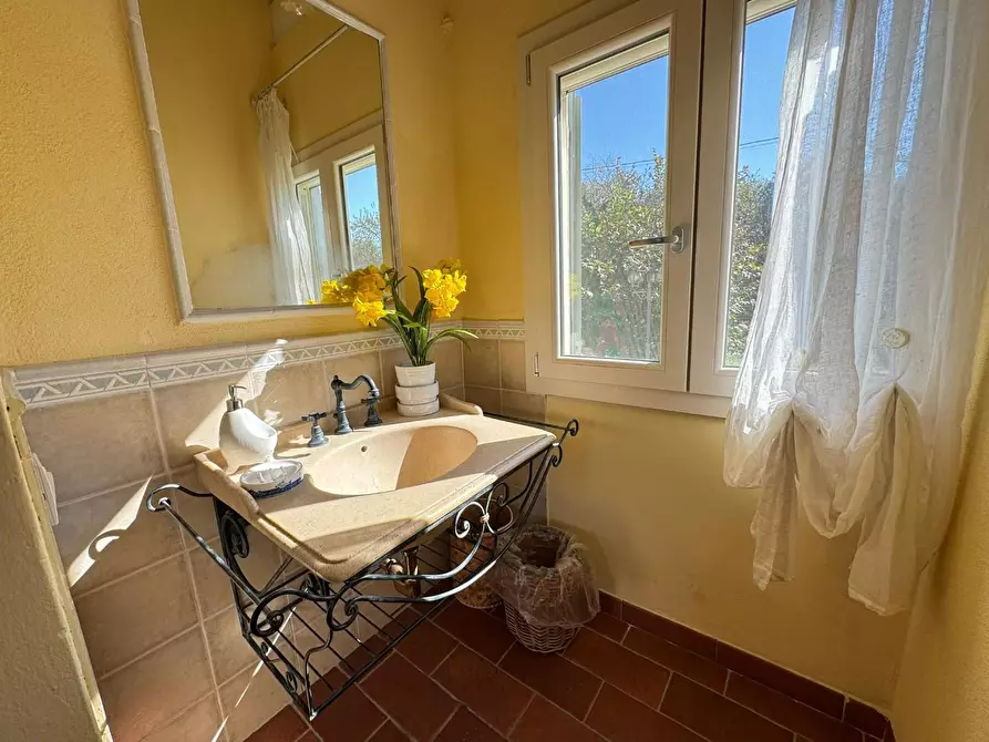 Immagine 21 di Villa in affitto  a Forte Dei Marmi