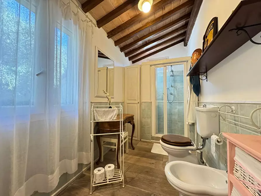 Immagine 25 di Villa in affitto  a Forte Dei Marmi