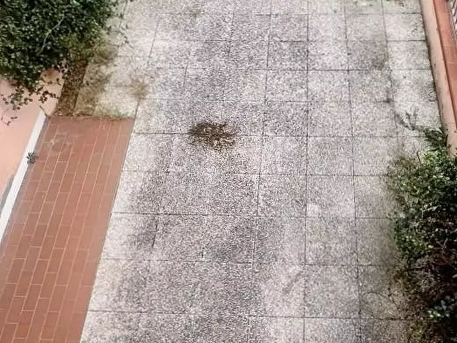 Immagine 21 di Villetta a schiera in vendita  a Viareggio