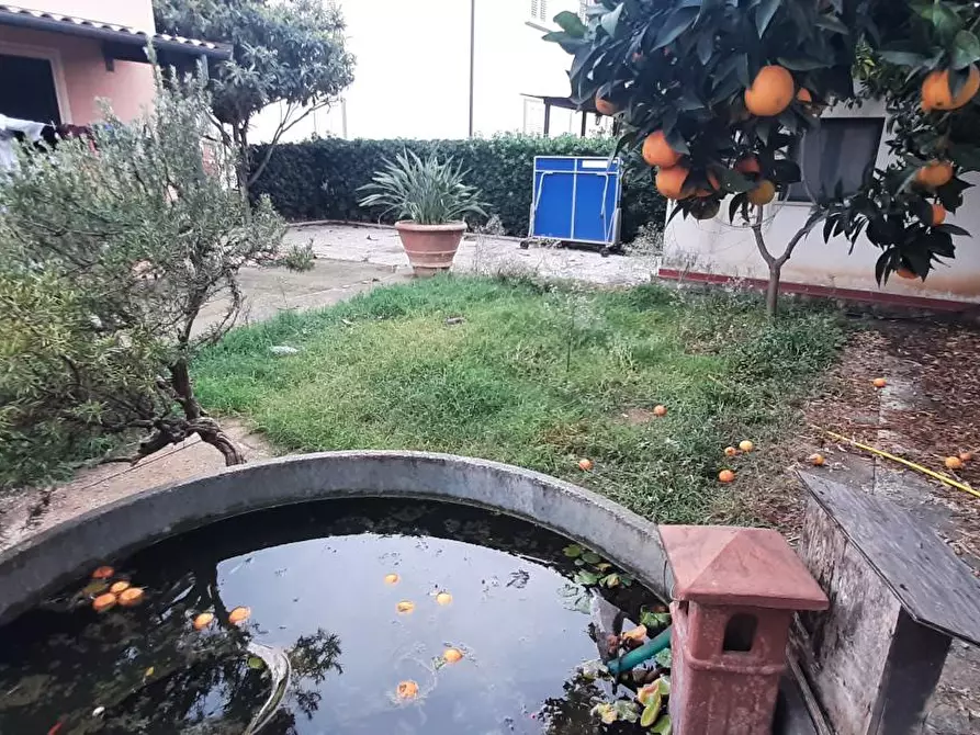 Immagine 52 di Villa in vendita  a Rosignano Marittimo