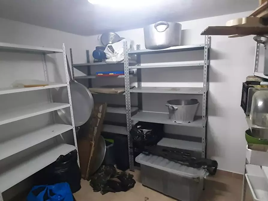 Immagine 25 di Villa in vendita  a Rosignano Marittimo