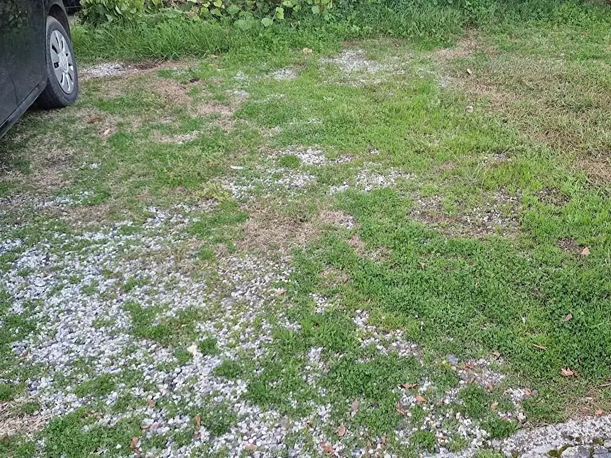 Immagine 17 di Appartamento in vendita  a Carrara