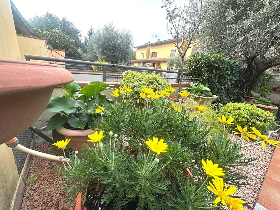 Immagine 46 di Villetta a schiera in vendita  a Campi Bisenzio