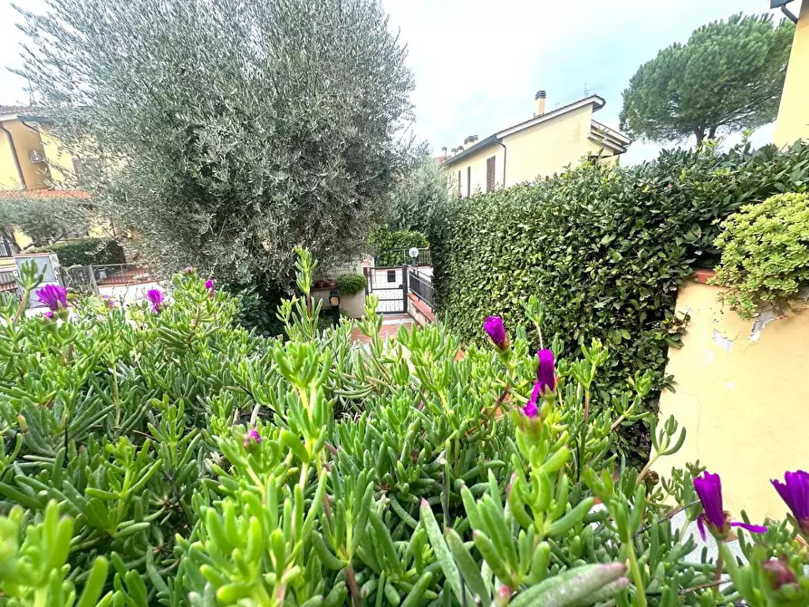 Immagine 52 di Villetta a schiera in vendita  a Campi Bisenzio