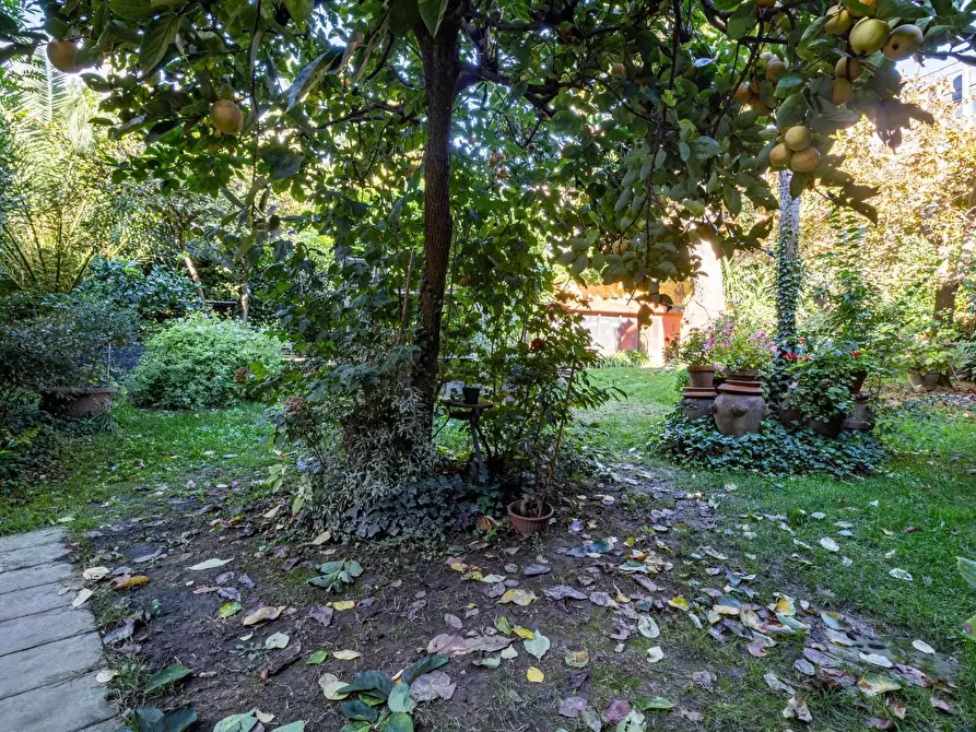 Immagine 32 di Appartamento in vendita  a Pisa