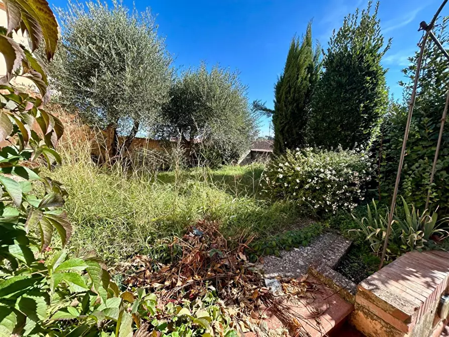 Immagine 8 di Casa indipendente in vendita  a San Miniato