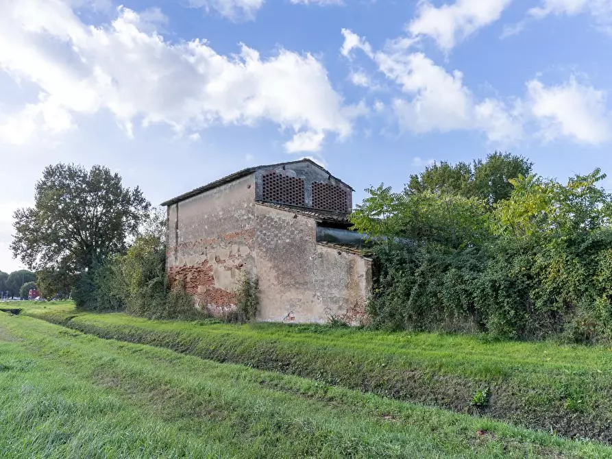 Immagine 5 di Casa colonica in vendita  a Empoli