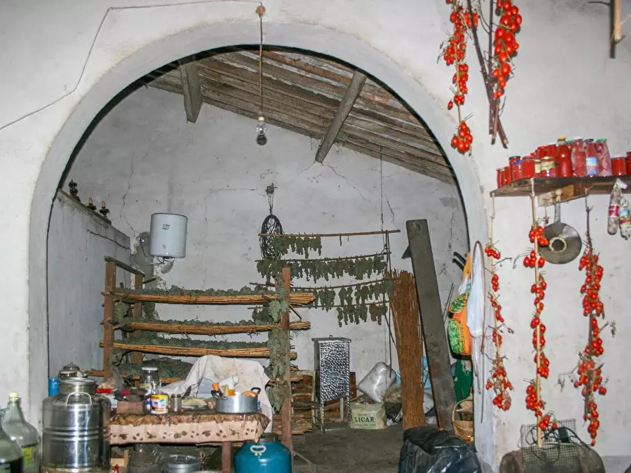 Immagine 21 di Casa colonica in vendita  a Empoli