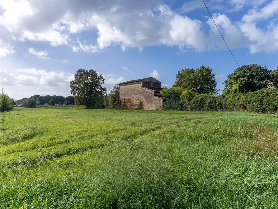 Immagine 4 di Casa colonica in vendita  a Empoli