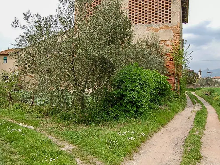 Immagine 12 di Casa colonica in vendita  a Empoli