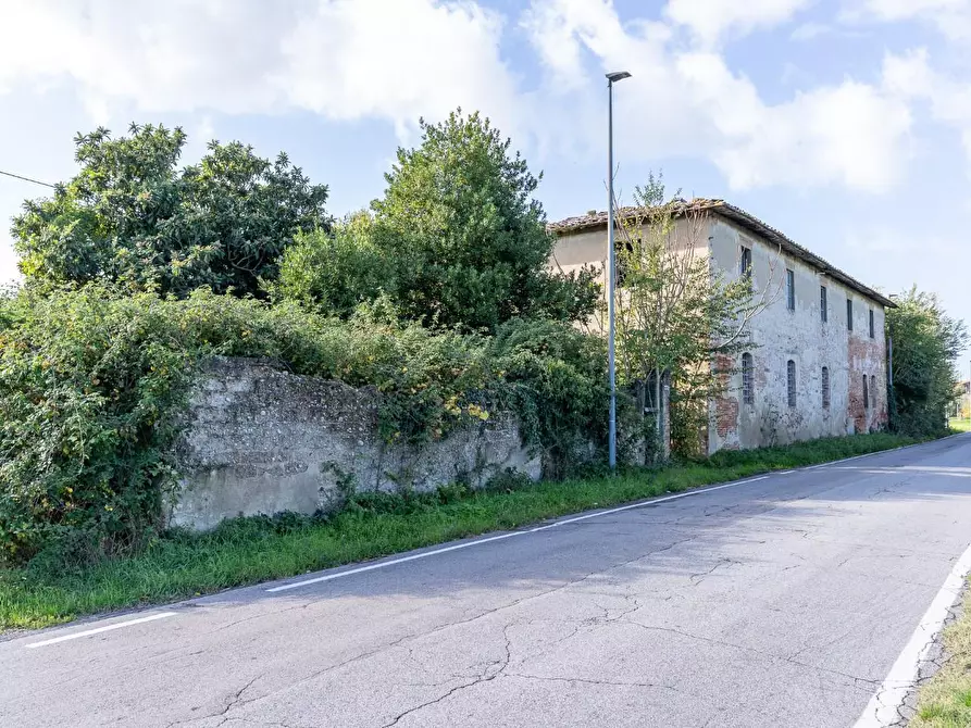 Immagine 13 di Casa colonica in vendita  a Empoli