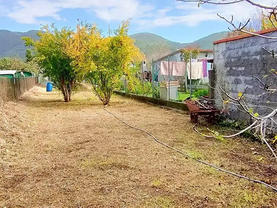 Immagine 1 di Terratetto in vendita  a San Giuliano Terme
