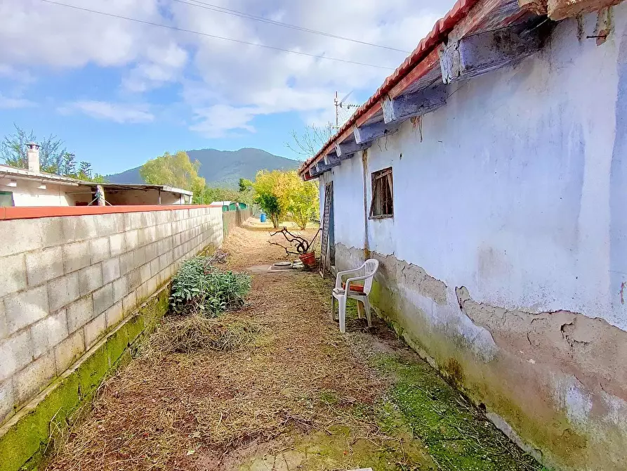Immagine 27 di Terratetto in vendita  a San Giuliano Terme
