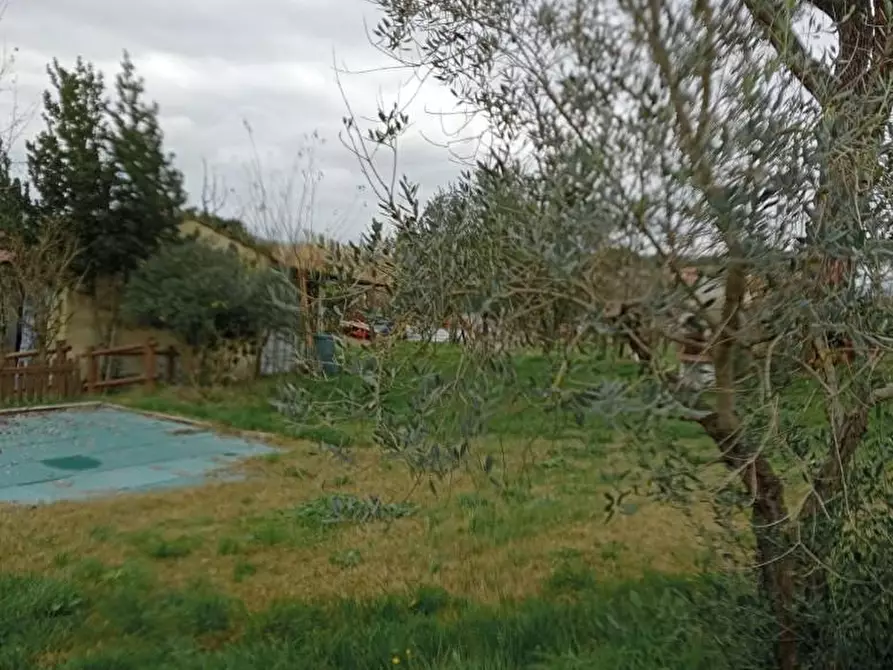 Immagine 10 di Rustico / casale in vendita  a Fucecchio