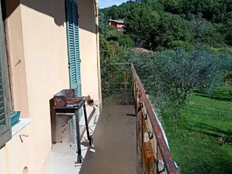 Immagine 5 di Appartamento in vendita  a Montieri