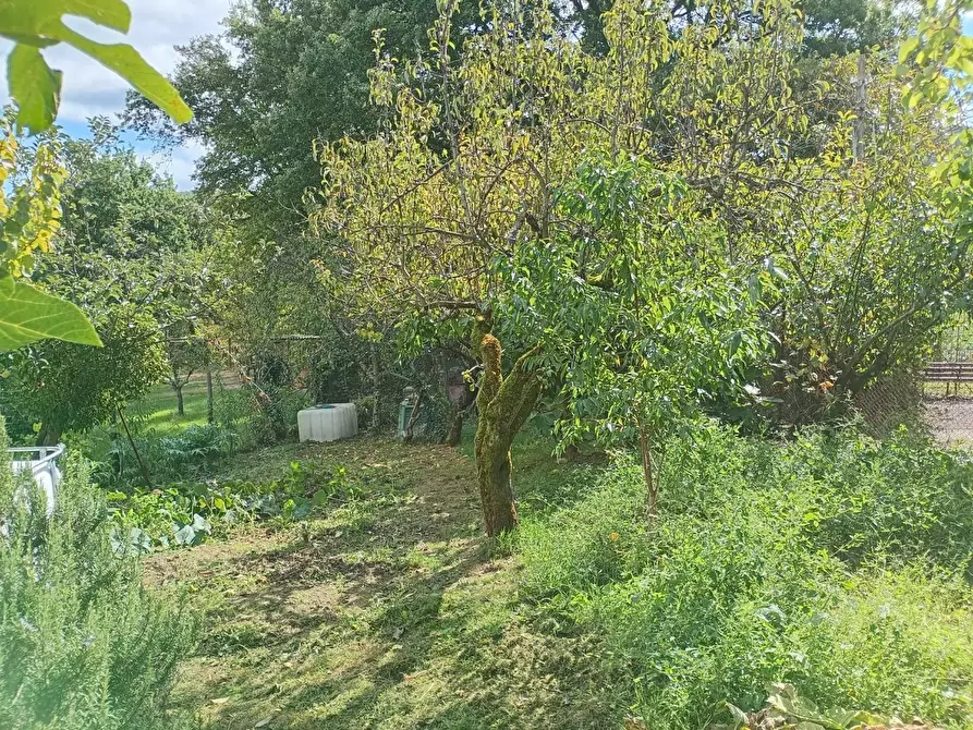 Immagine 17 di Appartamento in vendita  a Montieri