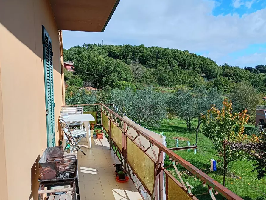 Immagine 6 di Appartamento in vendita  a Montieri