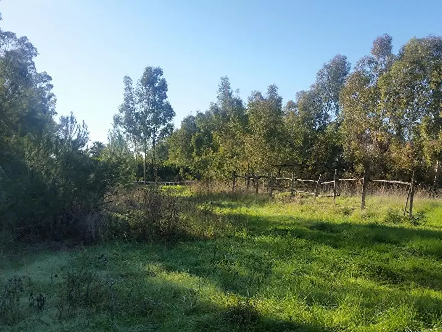 Immagine 1 di Terreno residenziale in vendita  a Pisa