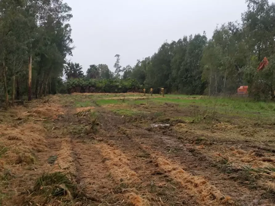 Immagine 2 di Terreno residenziale in vendita  a Pisa