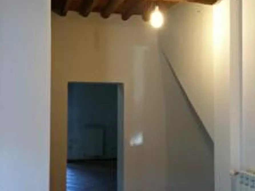 Immagine 18 di Appartamento in affitto  a Vecchiano