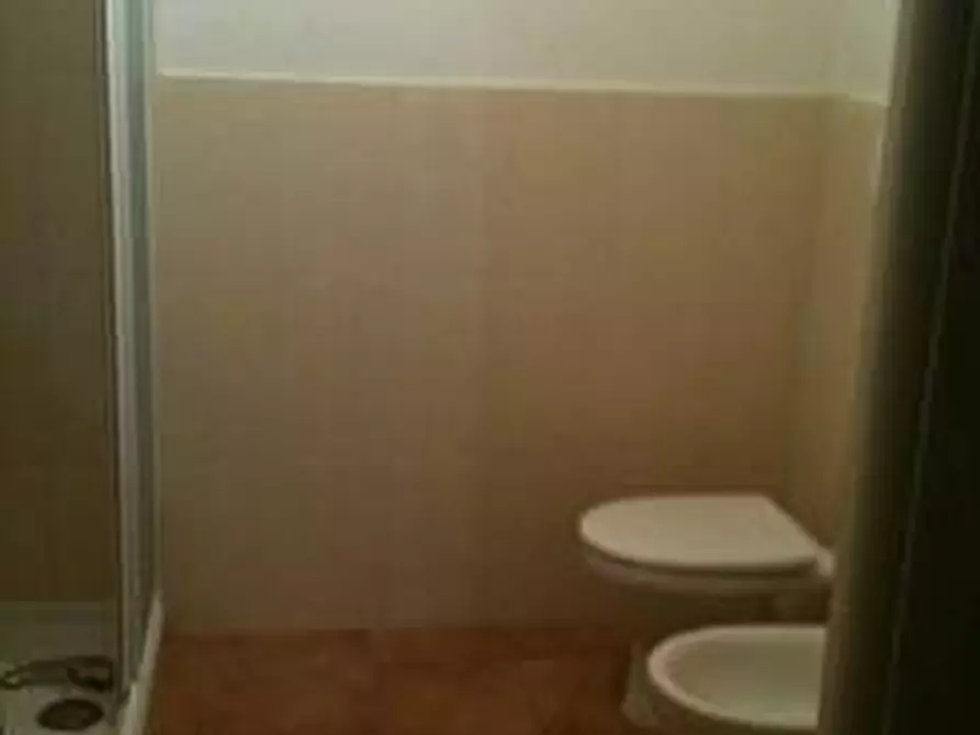 Immagine 21 di Appartamento in affitto  a Vecchiano