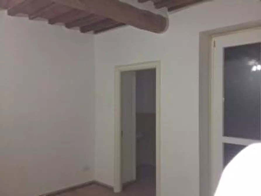 Immagine 15 di Appartamento in affitto  a Vecchiano