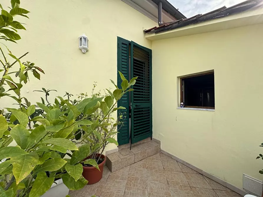 Immagine 21 di Villa in vendita  a Viareggio