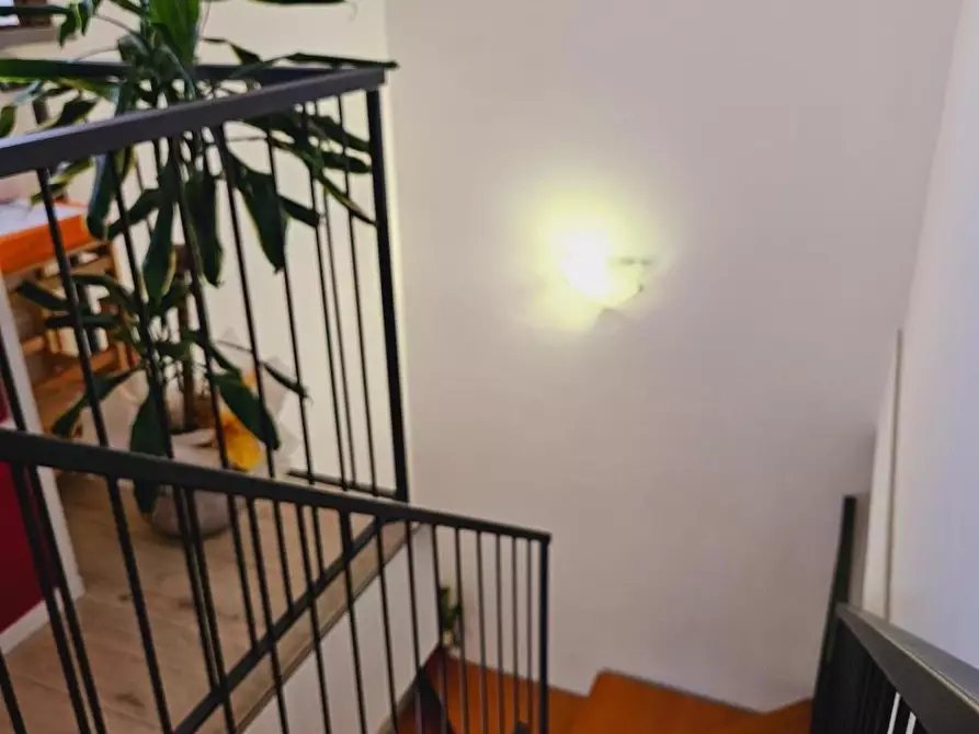 Immagine 35 di Appartamento in vendita  a Casciana Terme Lari