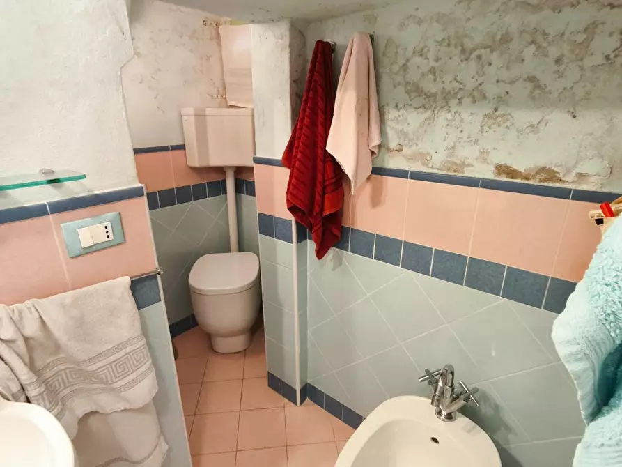 Immagine 27 di Appartamento in vendita  a Palaia