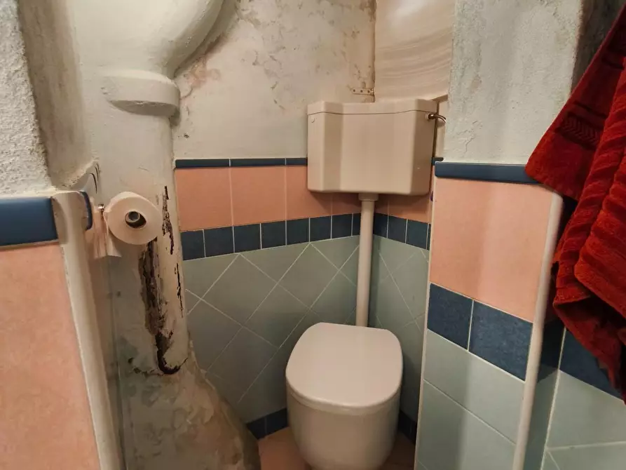 Immagine 28 di Appartamento in vendita  a Palaia