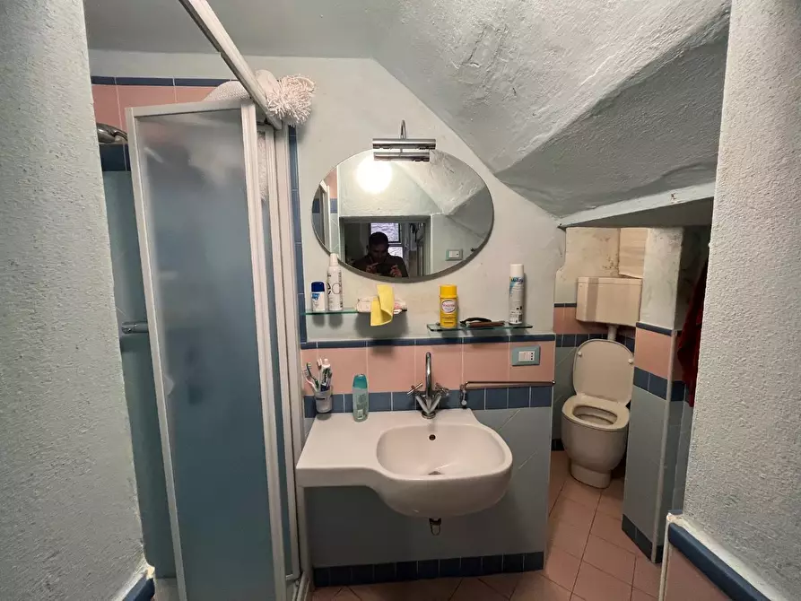 Immagine 6 di Immobile di prestigio in vendita  a Palaia