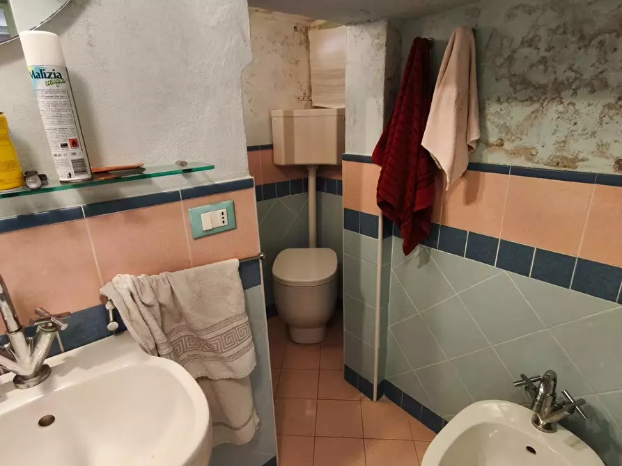 Immagine 29 di Appartamento in vendita  a Palaia