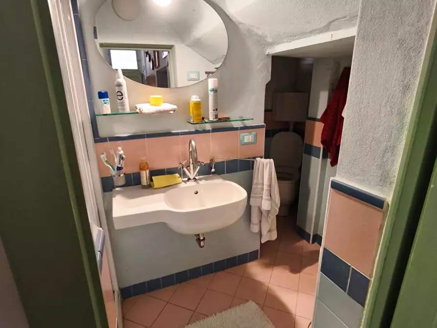 Immagine 25 di Appartamento in vendita  a Palaia